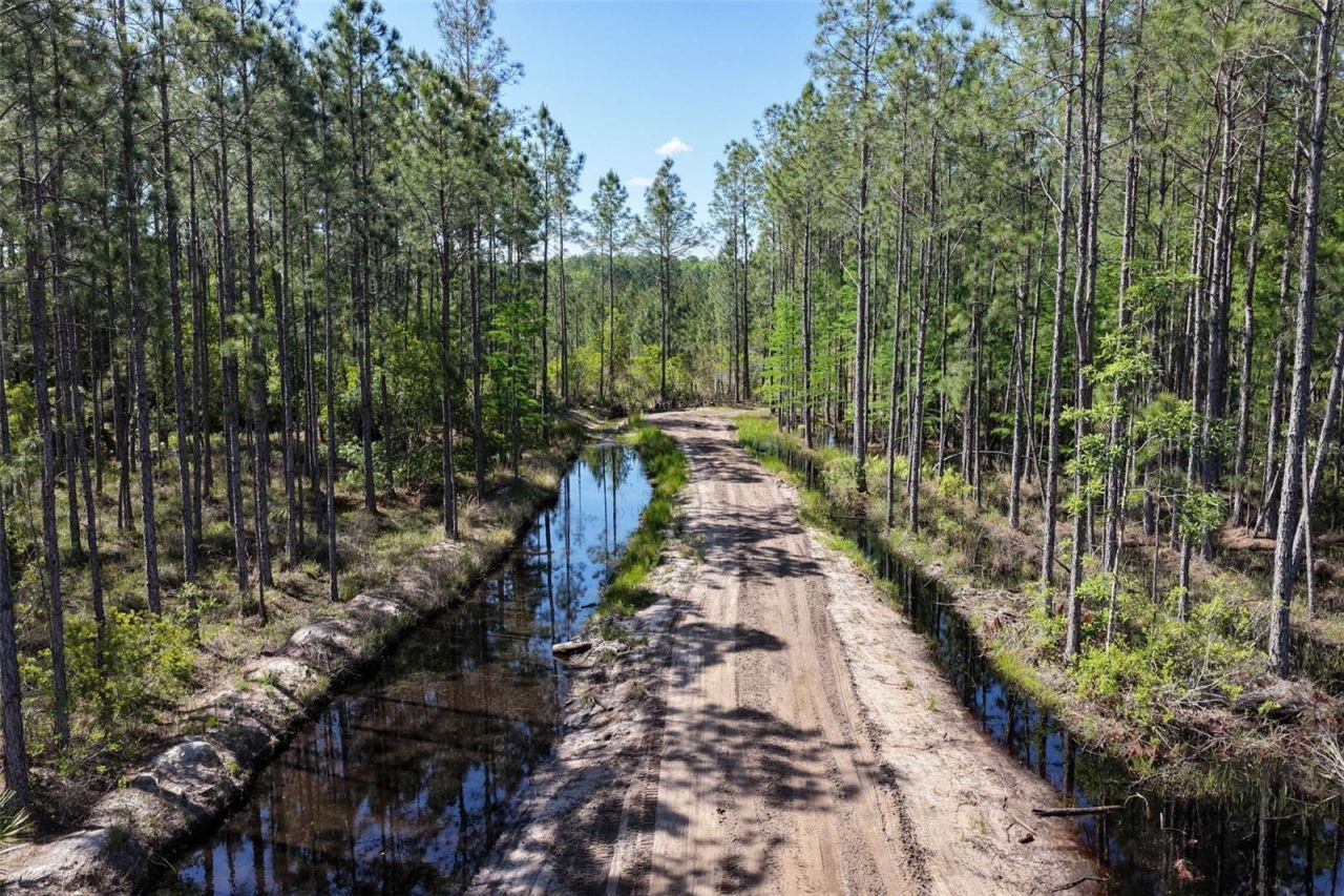 15539 County Rd 305 , Bunnell, FL 32110 Photo