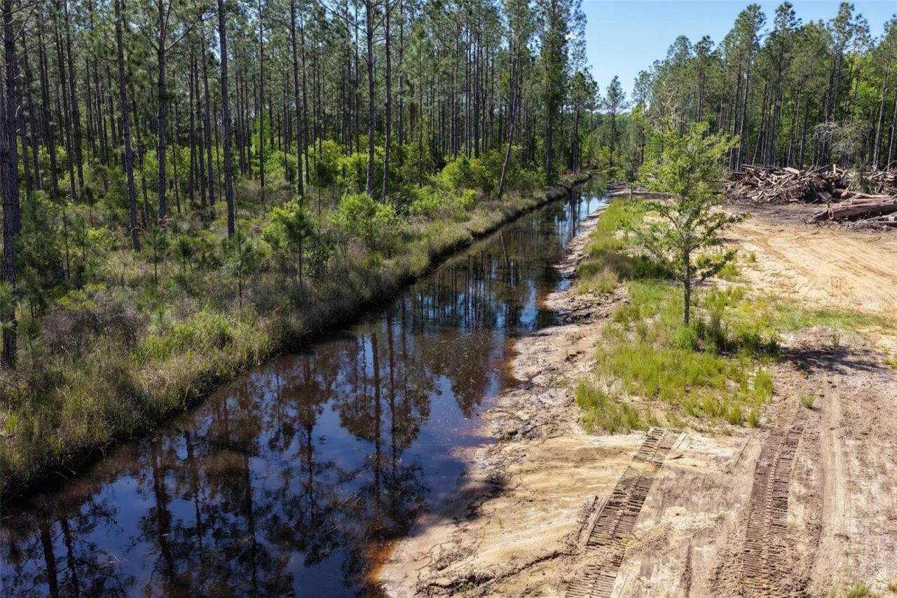 15539 County Rd 305 , Bunnell, FL 32110 Photo