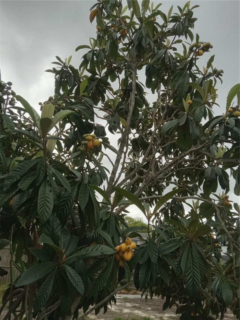 3650 Peconic Way , Holiday, FL 34691 Photo