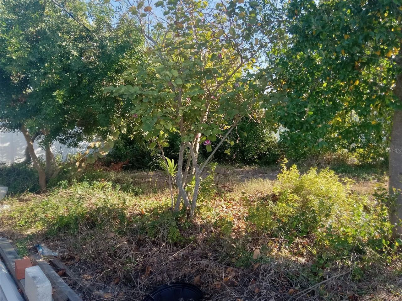 3650 Peconic Way , Holiday, FL 34691 Photo