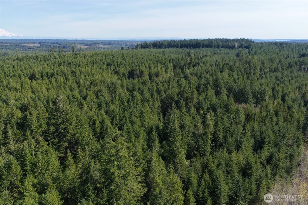 0 Romance Hill Road , Belfair, WA 98528