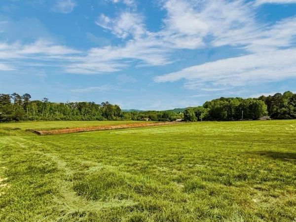 114 Palisade Drive, Rydal, GA 30171