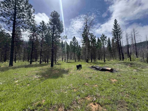 319 Round Valley Road, Greenville, CA 95947
