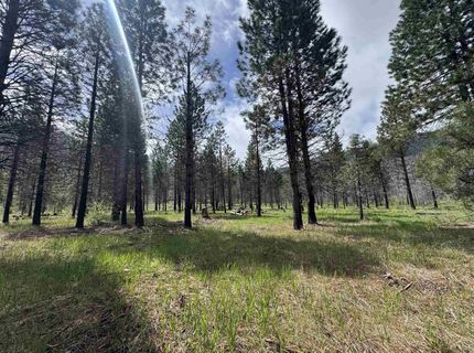 319 Round Valley Road, Greenville, CA 95947 Photo