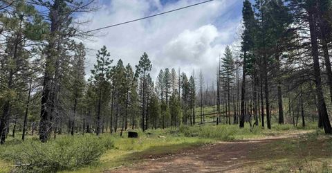 319 Round Valley Road, Greenville, CA 95947 Photo
