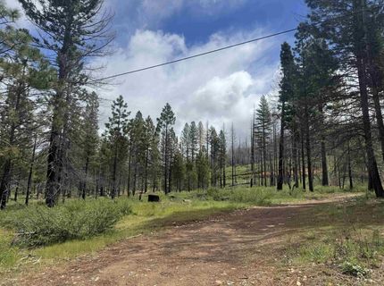 319 Round Valley Road, Greenville, CA 95947 Photo