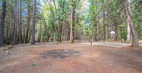 3000 Succor Ln, Foresthill, CA 95631 Photo