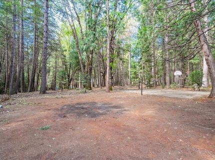 3000 Succor Ln, Foresthill, CA 95631 Photo