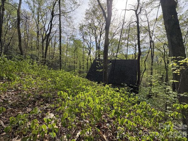 999999 Harwood Road , Barnardsville, NC 28709