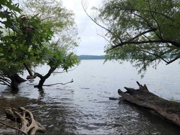 2355 Richland Harbor Rd, Waverly, TN 37185