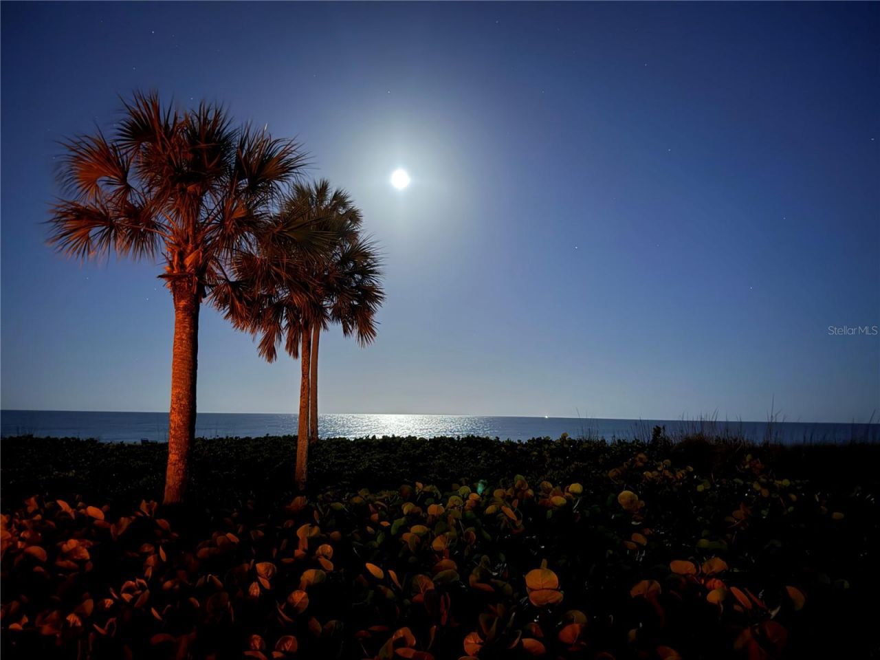 5591 Gulf Of Mexico Drive, Unit 4, Longboat Key, FL 34228 Photo