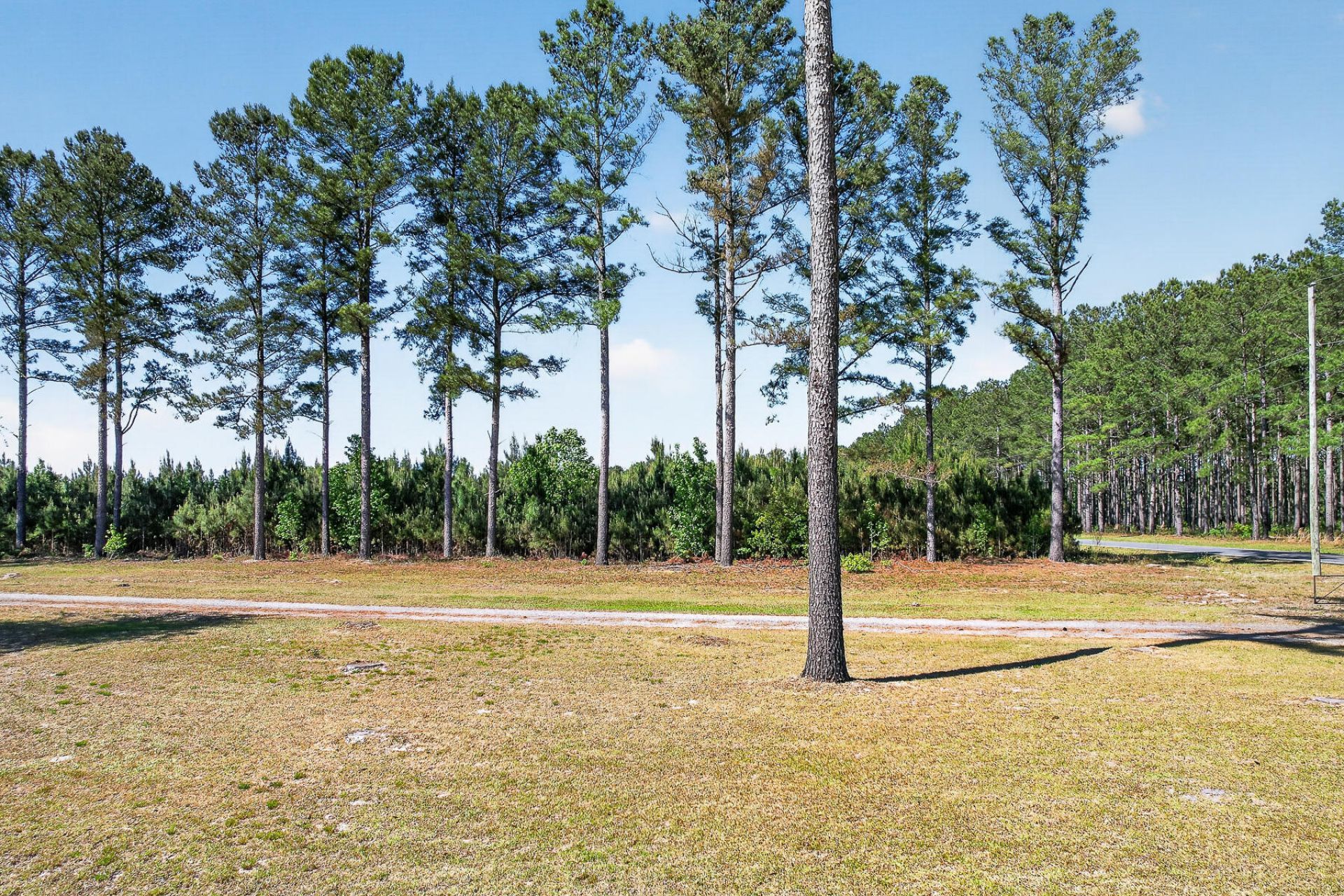 502 Partridge Road Photo 2