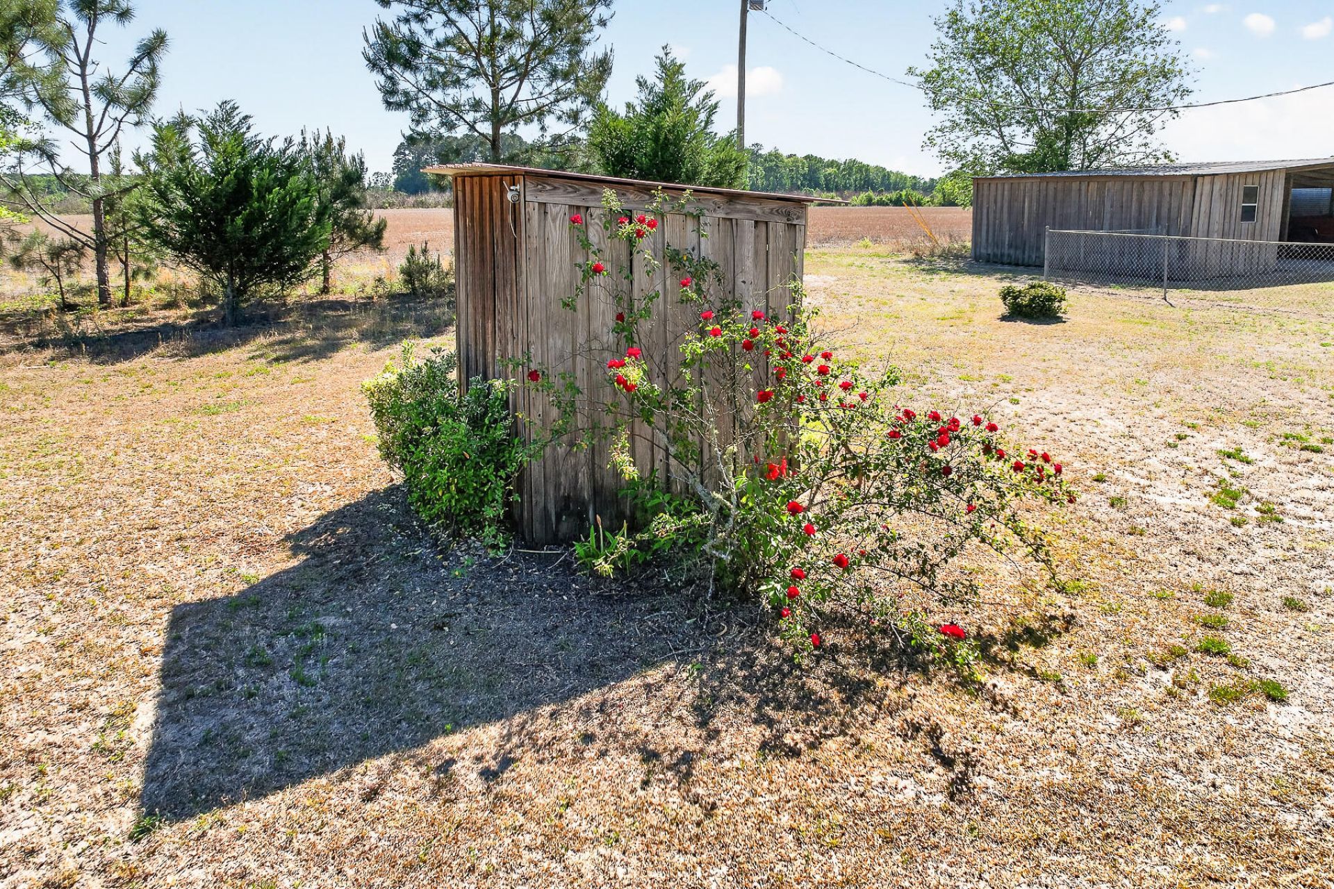 502 Partridge Road Photo 34