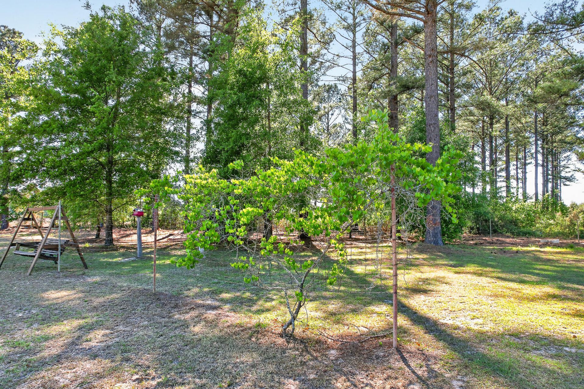 502 Partridge Road Photo 37