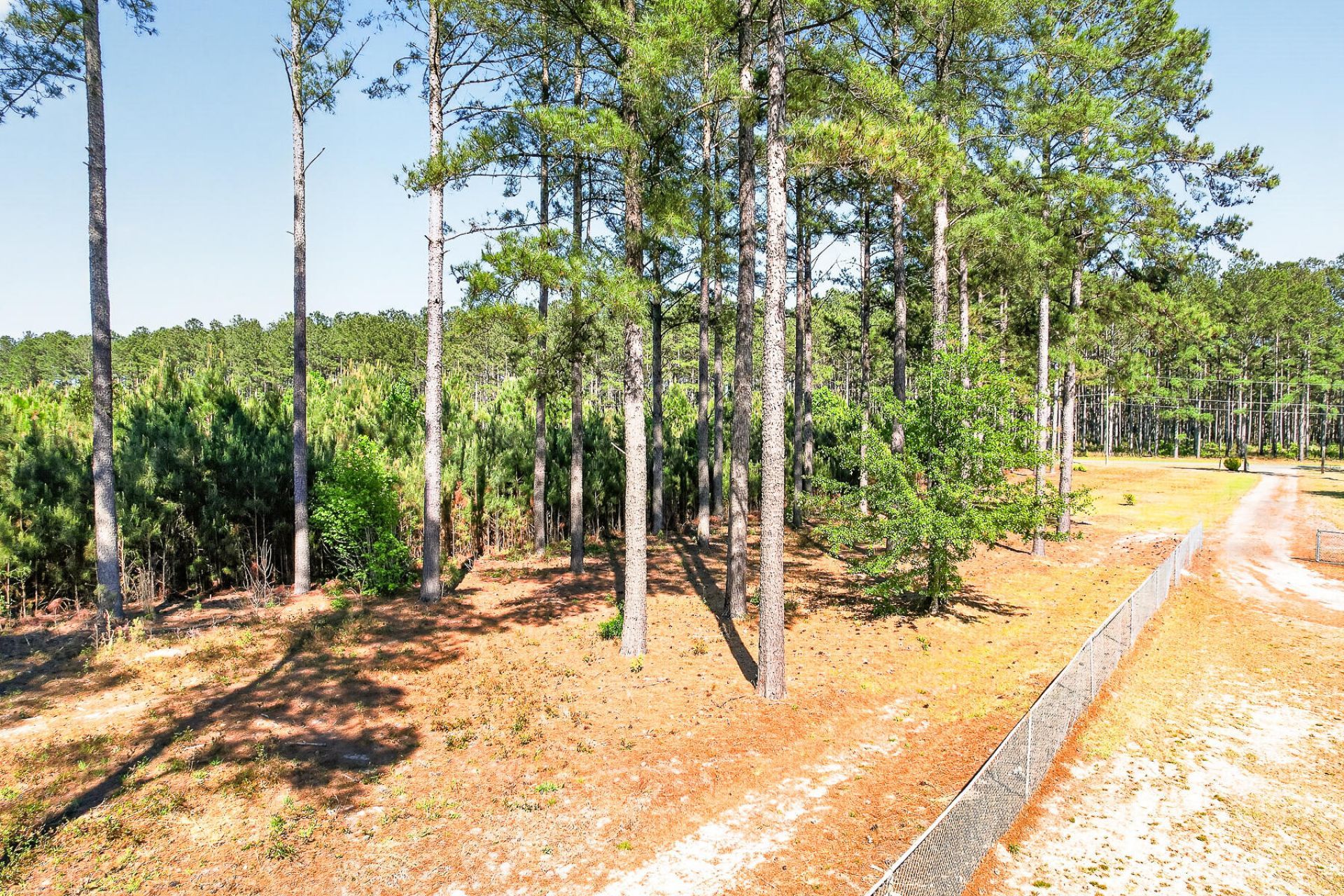 502 Partridge Road Photo 47