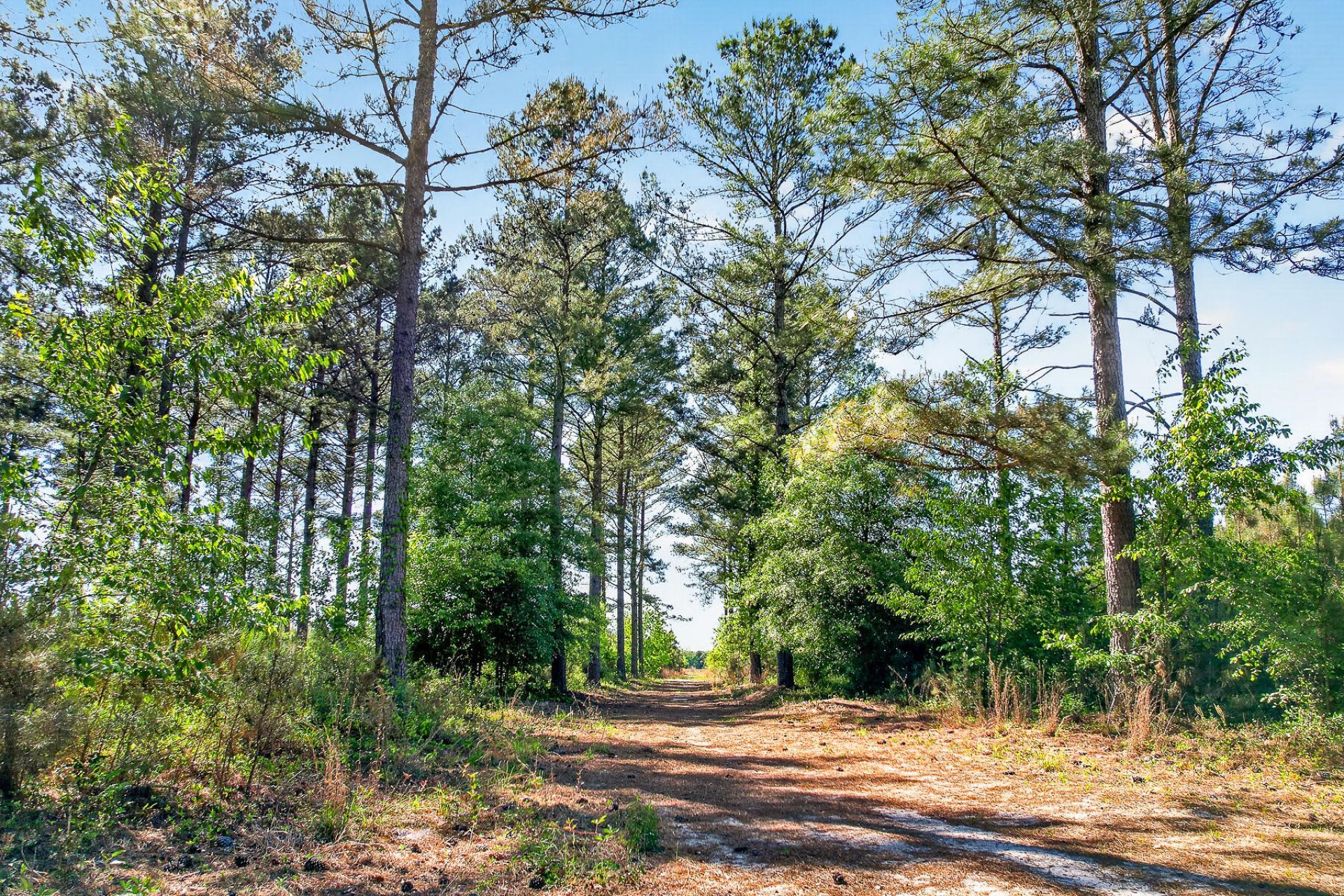 502 Partridge Road Photo 48