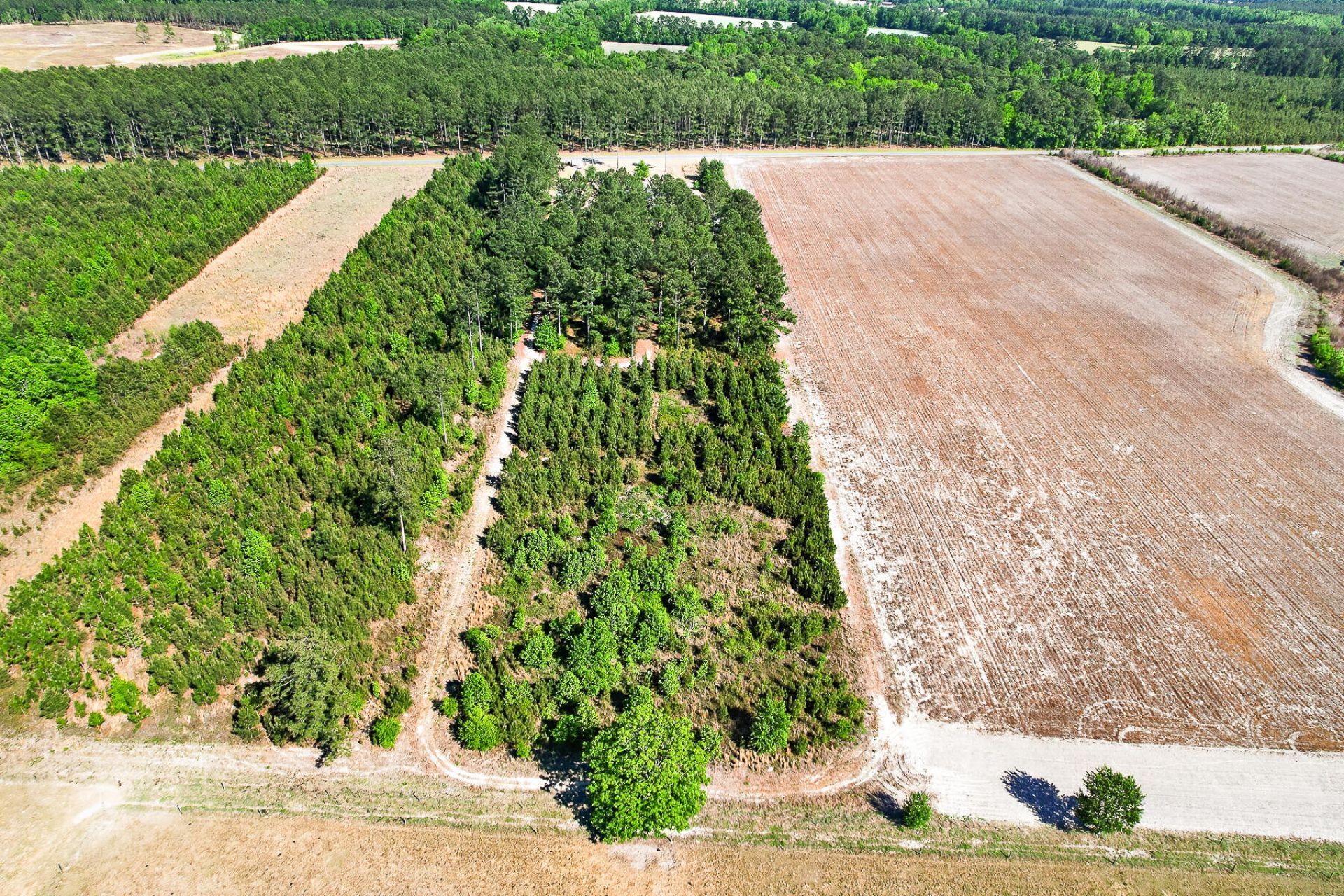 502 Partridge Road Photo 50