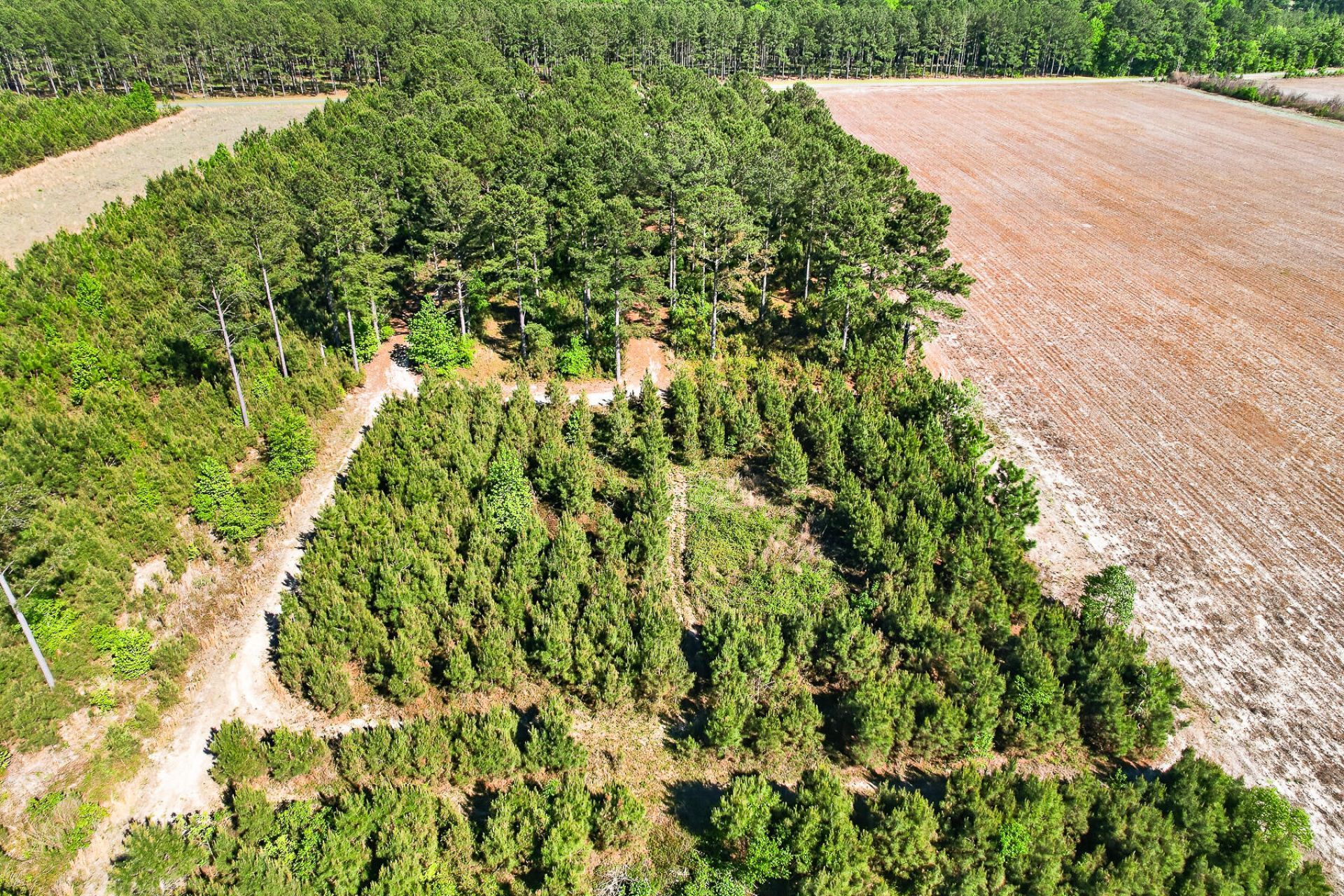 502 Partridge Road Photo 51