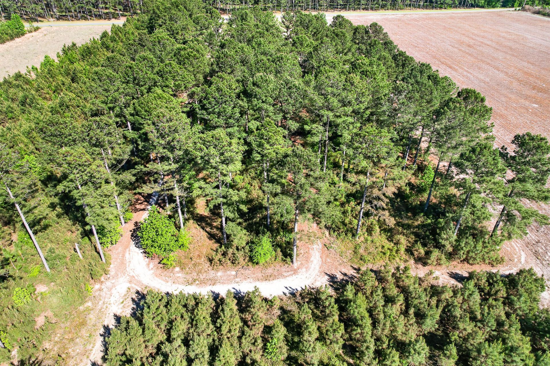 502 Partridge Road Photo 52