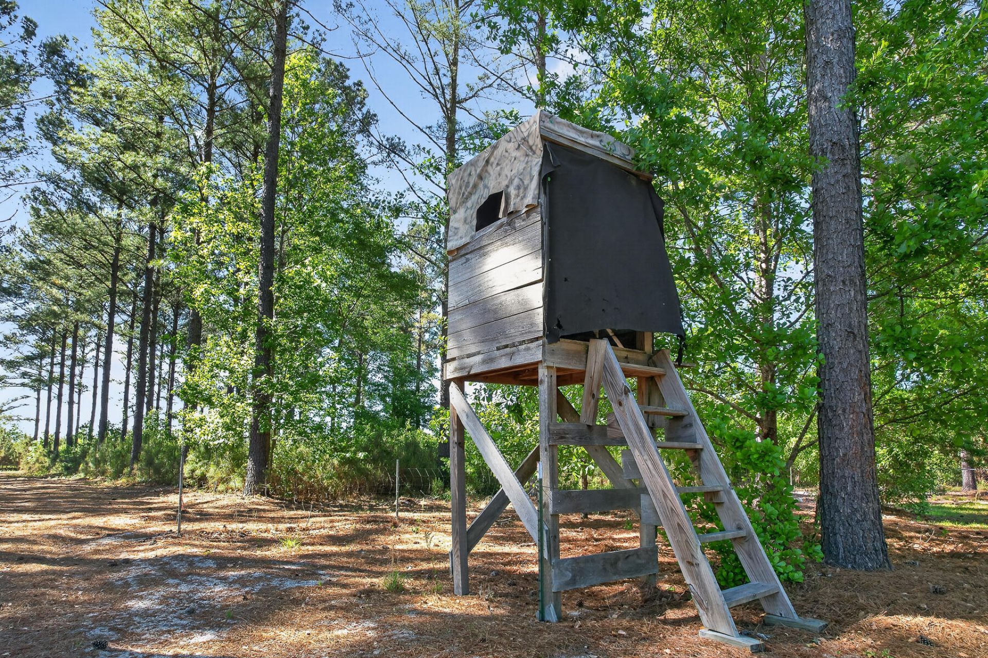 502 Partridge Road Photo 55