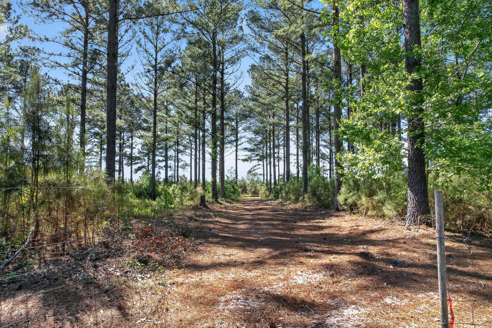 502 Partridge Road Photo 56