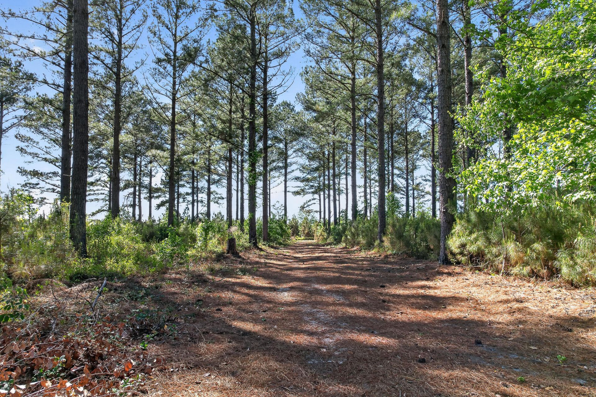 502 Partridge Road Photo 57