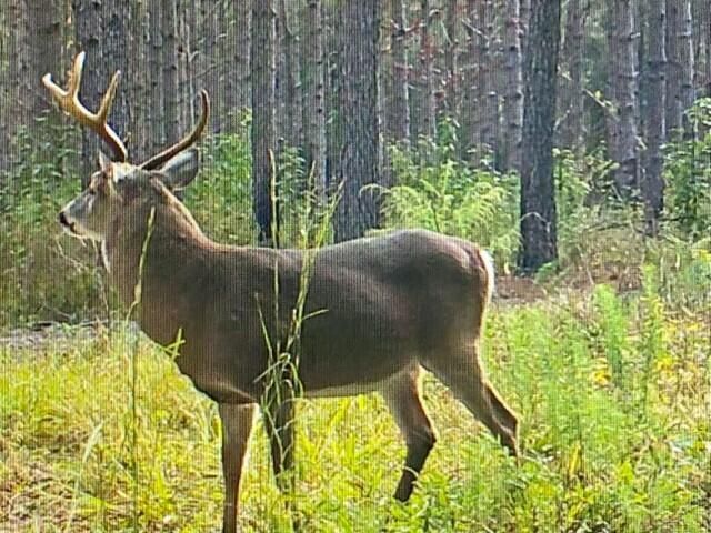 502 Partridge Road Photo 65