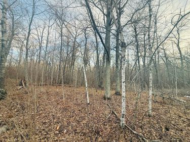 TBD Ringneck Roost , Garrison, MN 56450