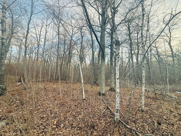 TBD Ringneck Roost , Garrison, MN 56450