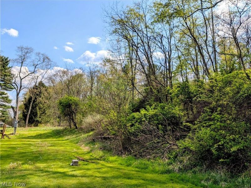 9365 Dutchtown School Road, Rogers, OH 44455 Photo 12