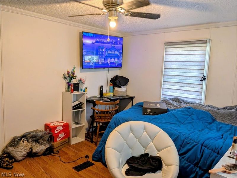 9365 Dutchtown School Road, Rogers, OH 44455 Photo 23