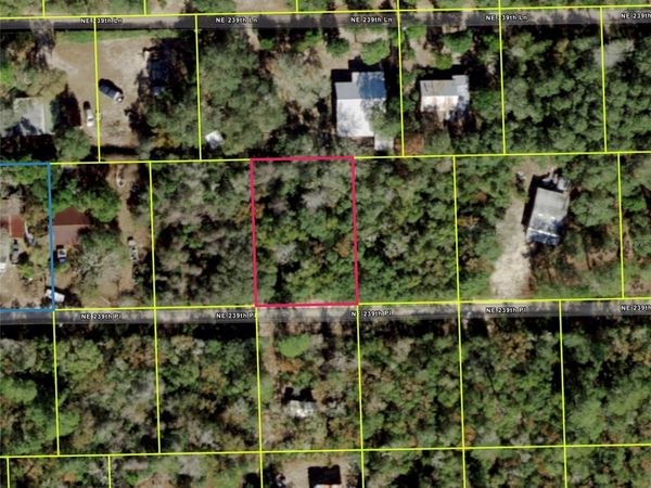 NE 239TH PL , FORT MC COY, FL 32134