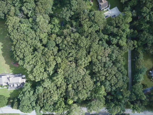 86 Bushy Hill, Essex, CT 06442