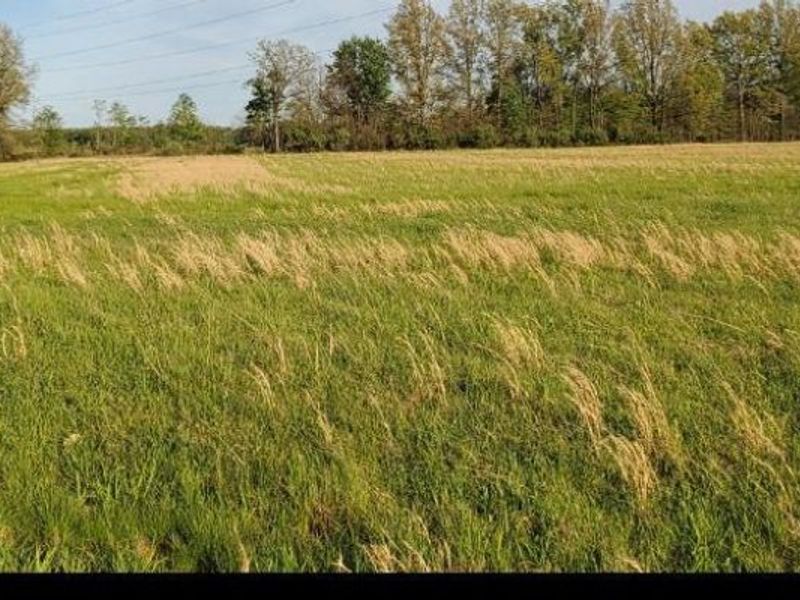 0 Crescent Drive, Mount Orab, OH 45154 Photo 3