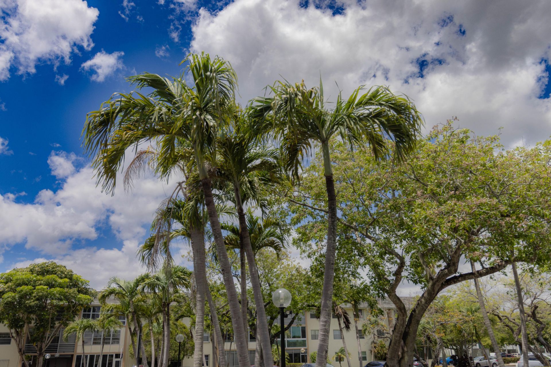 4980 E Sabal Palm Boulevard E, Unit 124, Tamarac, FL 33319 Photo
