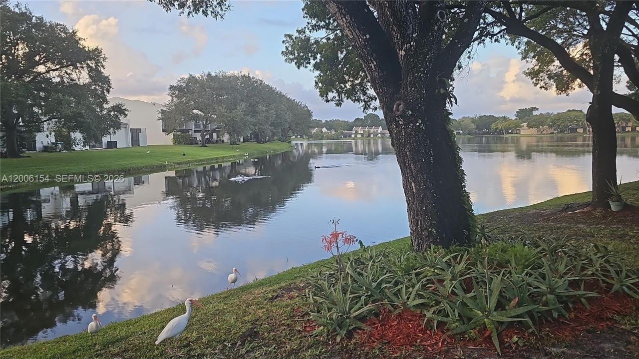 1064 NW 97th Ave , Unit 219, Pembroke Pines, FL 33024 Photo