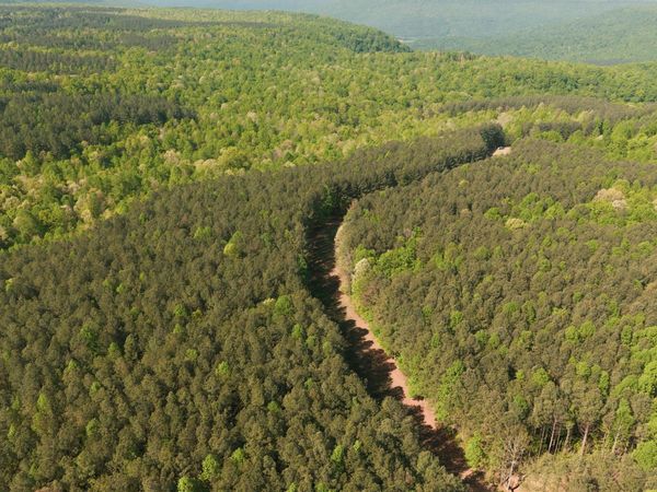 0 Browns Trace Road , South Pittsburg, TN 37380