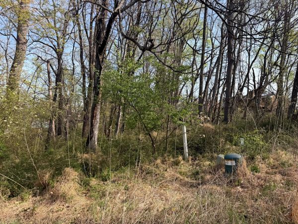 1801 Parker LN, Vinton, VA 24179