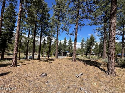 274 Redding Way, Lot #235, Carson City, NV 89705 Photo