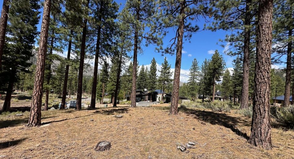 274 Redding Way, Lot #235, Carson City, NV 89705 Photo