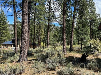 274 Redding Way, Lot #235, Carson City, NV 89705 Photo