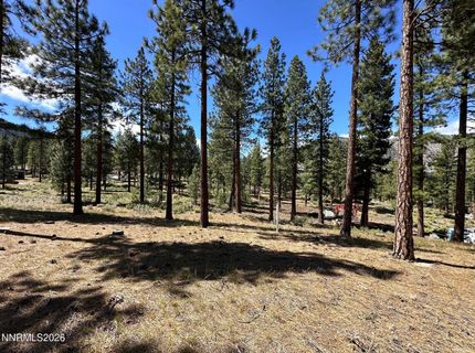 274 Redding Way, Lot #235, Carson City, NV 89705 Photo
