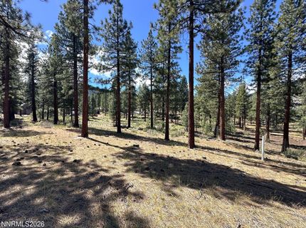 274 Redding Way, Lot #235, Carson City, NV 89705 Photo