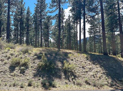 274 Redding Way, Lot #235, Carson City, NV 89705 Photo