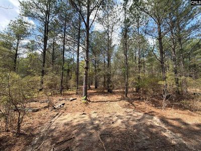CA 4 Mt. Calvary Road , Unit CA 4, Ridge Spring, SC 29129