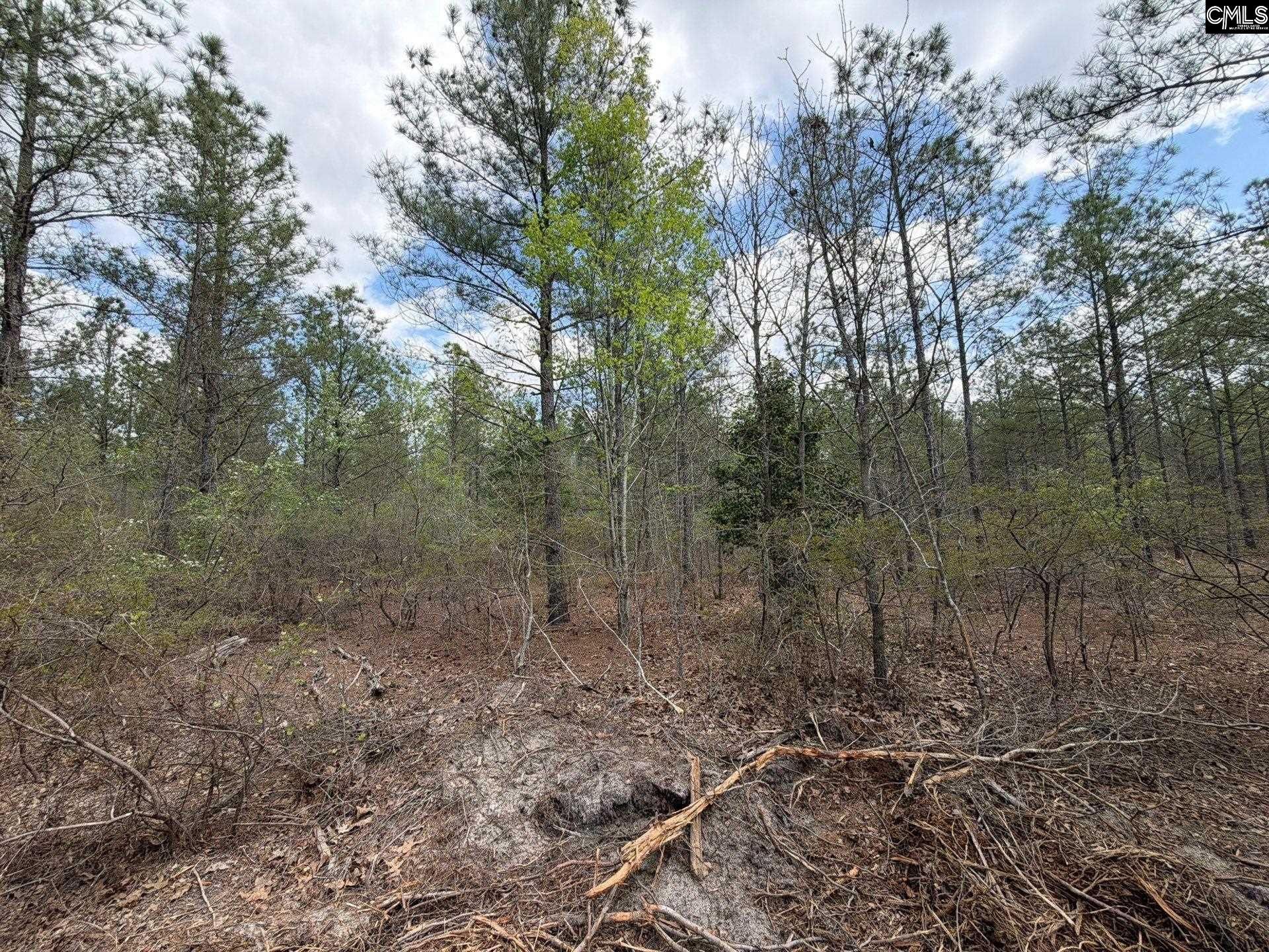 Ca 4 Mt. Calvary Road  Photo 10