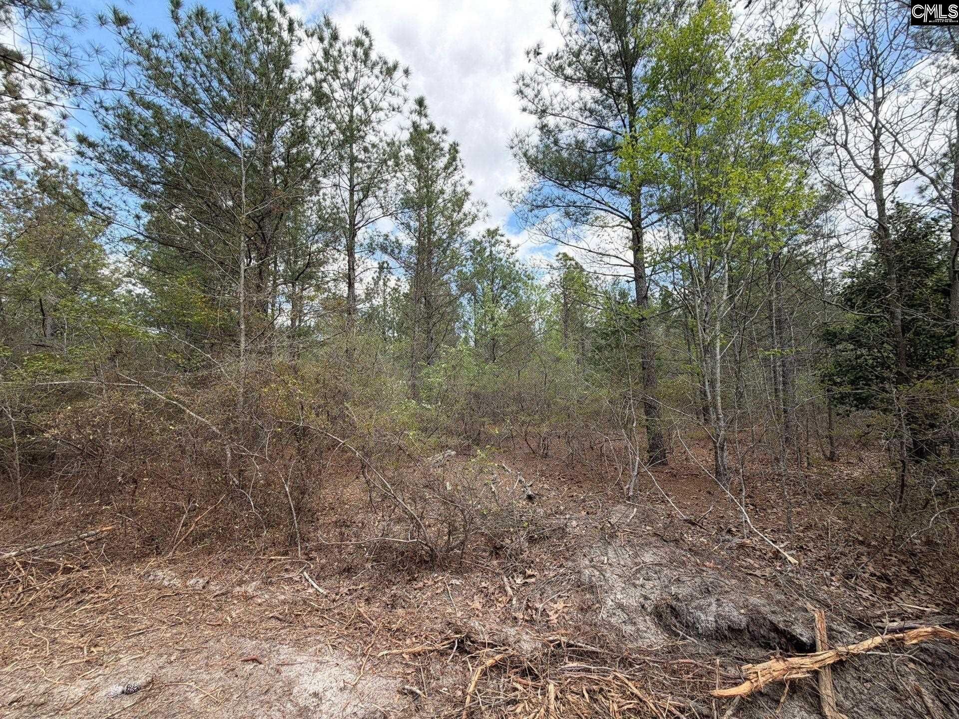 Ca 4 Mt. Calvary Road  Photo 11
