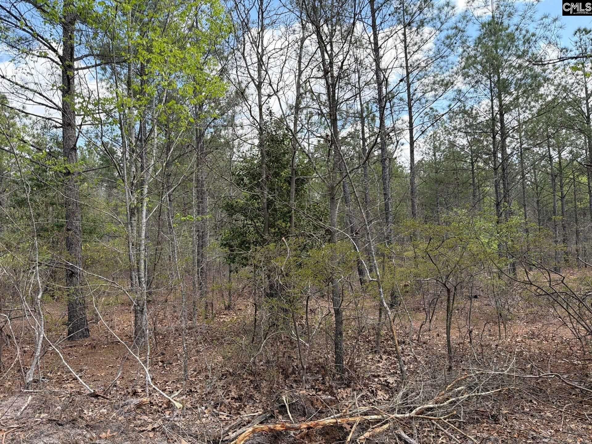 Ca 4 Mt. Calvary Road  Photo 12