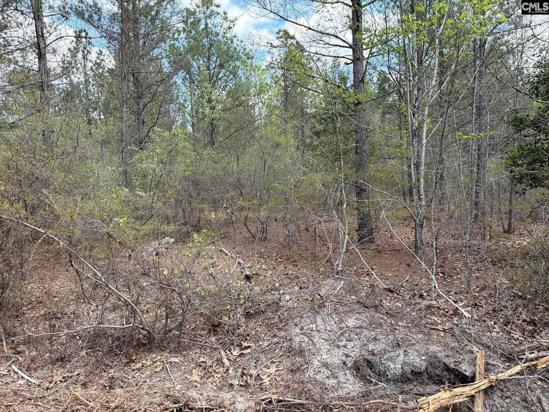 Ca 4 Mt. Calvary Road  Photo 13