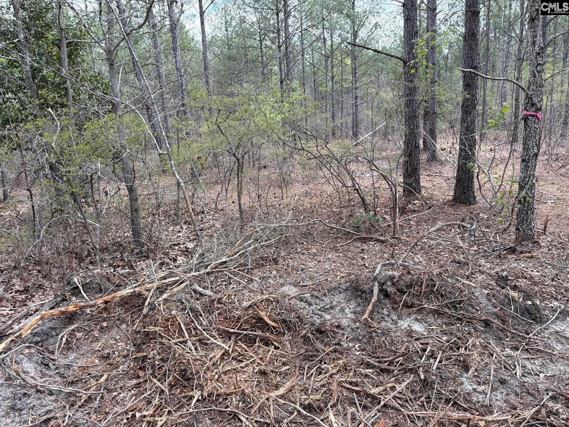 Ca 4 Mt. Calvary Road  Photo 14